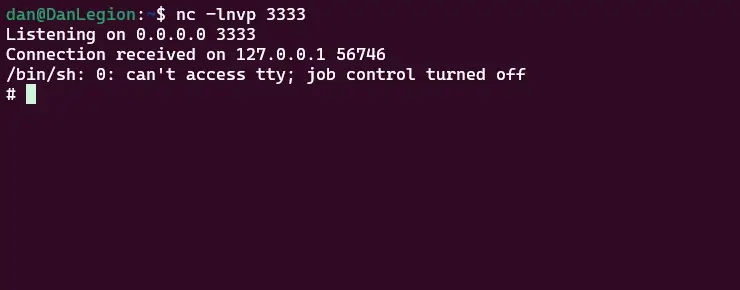 TCP shell returned to server